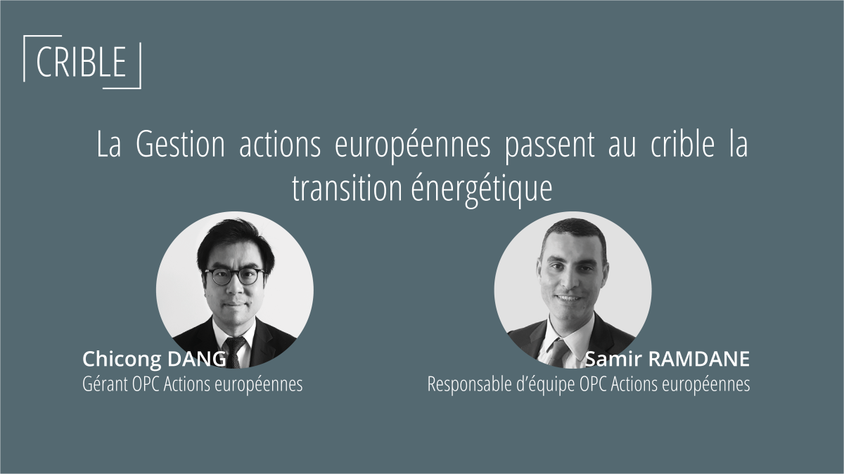 La Gestion passe au crible la transition énergétique | Covea Finance